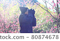 Sakura and Photographer 80874678