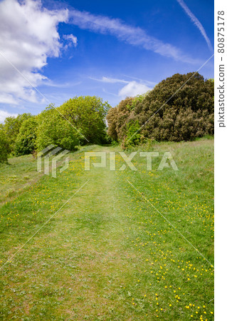 South Downs Way National Trail in Sussex Southern England UK South Downs Way National Trail in Sussex Southern England UK 80875178