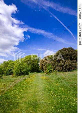 South Downs Way National Trail near Eastbourne Sussex South East England UK South Downs Way National Trail near Eastbourne Sussex South East England UK 80875180