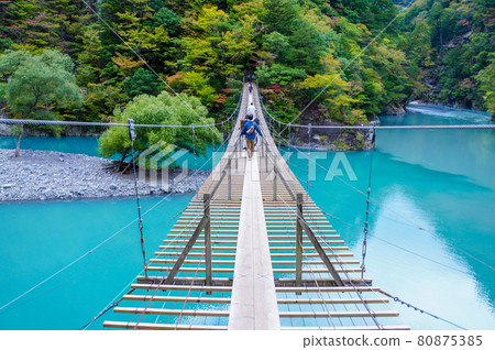 Suspension bridge of a dream 80875385