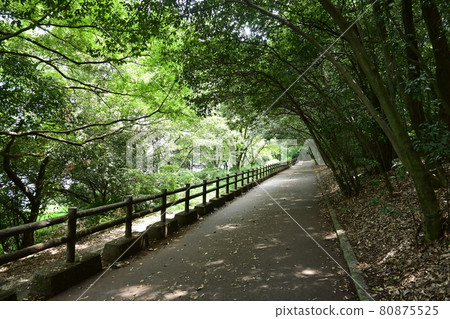 Promenade where you can take a walk Promenade where you can take a walk 80875525