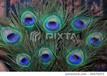 peacock feather detail and texture for fashion and decoration 80876935