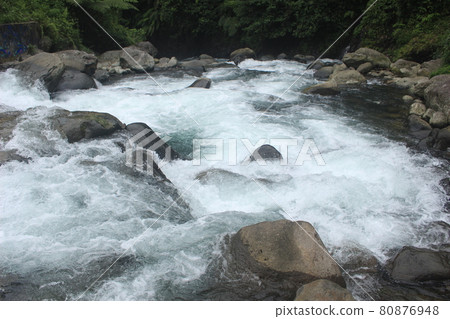 river water flows in the tropical forest in Indonesia. this river is cool and beautiful. river water flows in the tropical forest in Indonesia. this river is cool and beautiful. 80876948