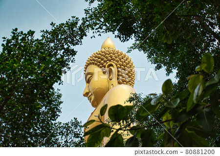 Giant golden buddha statue of Dhammakaya Thep Mongkol Buddha in construction site located at Wat Paknam Bhasicharoen temple Giant golden buddha statue of Dhammakaya Thep Mongkol Buddha in construction site located at Wat Paknam Bhasicharoen temple 80881200