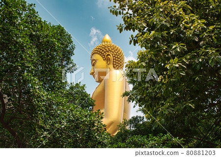Giant golden buddha statue of Dhammakaya Thep Mongkol Buddha in construction site located at Wat Paknam Bhasicharoen temple Giant golden buddha statue of Dhammakaya Thep Mongkol Buddha in construction site located at Wat Paknam Bhasicharoen temple 80881203