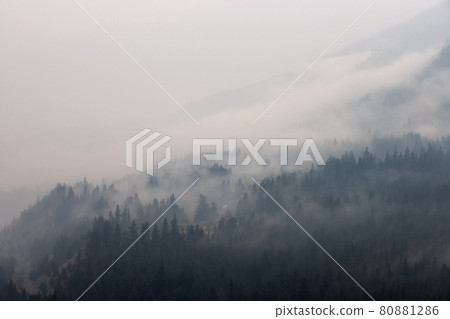 Valley covered by smoke from Forest Wildfire. 80881286