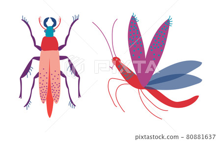 Mosquito and Stag Beetle Insects as Hexapod Flying Creature with Jointed Legs and Pair of Antennae Vector Set Mosquito and Stag Beetle Insects as Hexapod Flying Creature with Jointed Legs and Pair of Antennae Vector Set 80881637
