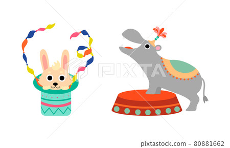 Circus Hippopotamus and Hare Animal Performing Trick Vector Set Circus Hippopotamus and Hare Animal Performing Trick Vector Set 80881662