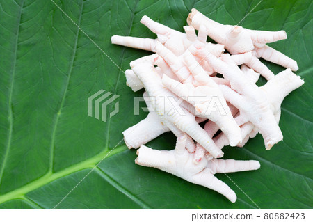 Raw chicken feet on taro leaf Raw chicken feet on taro leaf 80882423