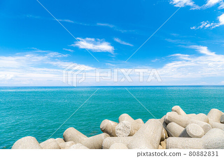 大海和夏日的天空[新潟縣] 80882831