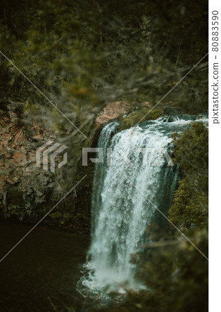Dangar falls waterfall in Dorrigo, NSW, Australia. 80883590
