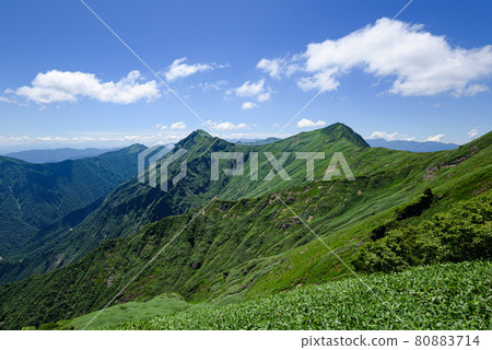 夏天的谷川岳天神嶺 夏天的谷川岳天神嶺 80883714