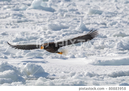 Shiretoko winter 80883958