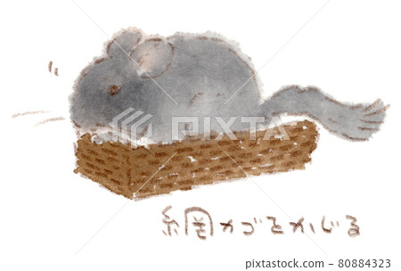 龍貓咬網籃的水彩畫（插圖） 80884323
