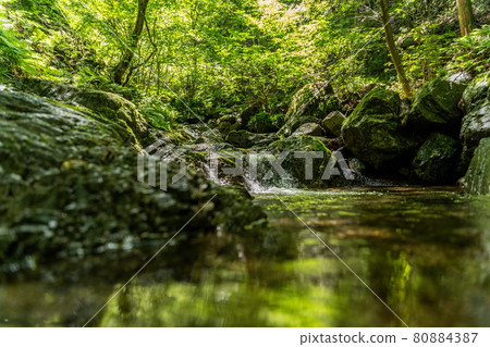 A river flowing through Bonooreyama (Hanno City, Saitama Prefecture) 80884387
