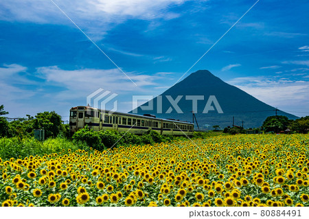 西大山站的向日葵田和開聞岳火山：鹿兒島縣指宿市的西大山站被稱為JR日本最南端的車站。 80884491