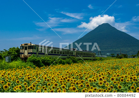 Sunflower field and Kaimondake volcano at Nishi-Oyama station: Nishi-Oyama station in Ibusuki city, Kagoshima prefecture is known as the southernmost station in JR Japan. Sunflower field and Kaimondake volcano at Nishi-Oyama station: Nishi-Oyama station in Ibusuki city, Kagoshima prefecture is known as the southernmost station in JR Japan. 80884492