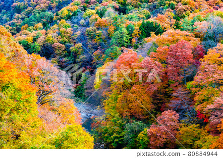 White sand valley (autumn) White sand valley (autumn) 80884944
