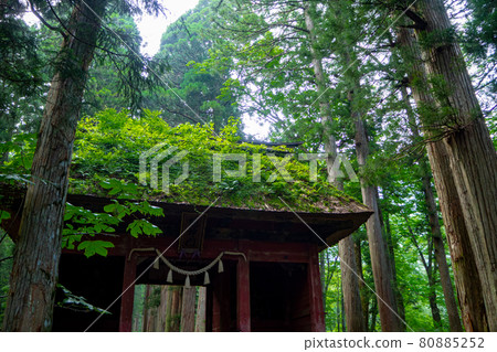 Togakushi Shrine's Zuijinmon 3 Togakushi Shrine's Zuijinmon 3 80885252