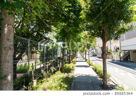 Keio Line Shimotakaido Station West Exit Setagaya Ward South side of Matsuzawa Elementary School Setagaya Ward, Tokyo 80885364
