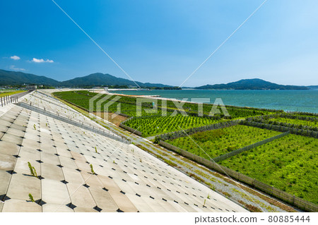 Rikuzentakata scenery in summer: Sea and seawall Rikuzentakata scenery in summer: Sea and seawall 80885444