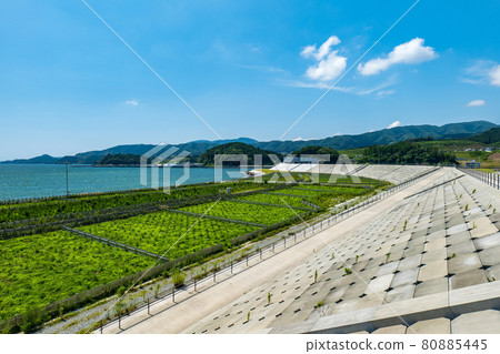 Rikuzentakata scenery in summer: Sea and seawall Rikuzentakata scenery in summer: Sea and seawall 80885445