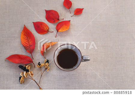 Autumn background coffee autumn leaves fruit Autumn background coffee autumn leaves fruit 80885918
