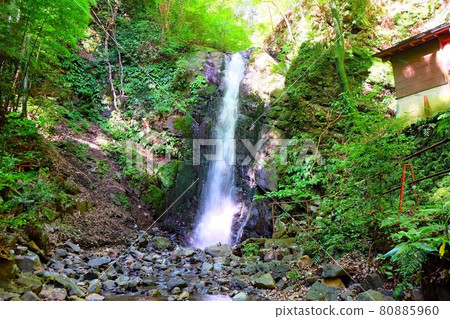 Yugawara Town Oku Yugawara Fudo Falls Yugawara Town Oku Yugawara Fudo Falls 80885960