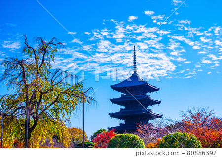 Toji寺和五顏六色的葉子的五層塔 80886392