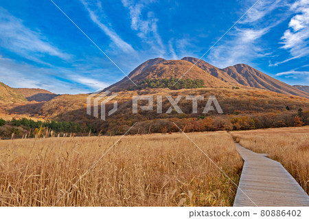 秋天的九重山/忠原濕地 秋天的九重山/忠原濕地 80886402