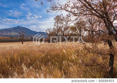 Kujuzan / Chojahara in autumn 80886403