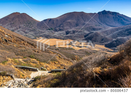 Kuju mountain and bo vine in autumn 80886437