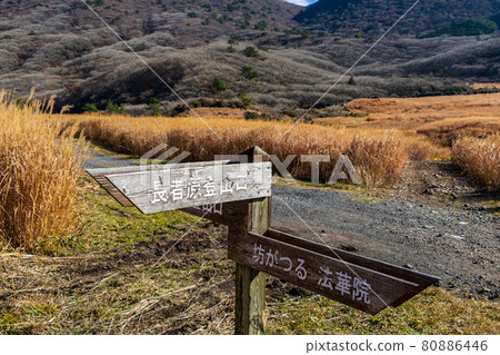 Kujuzan / Bogatsuru sign in autumn 80886446