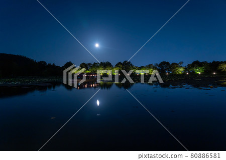 京都府京都市大覺寺賞月之夜,漂浮在大澤池的龍都刺身船遊船 京都府京都市大覺寺賞月之夜,漂浮在大澤池的龍都刺身船遊船 80886581