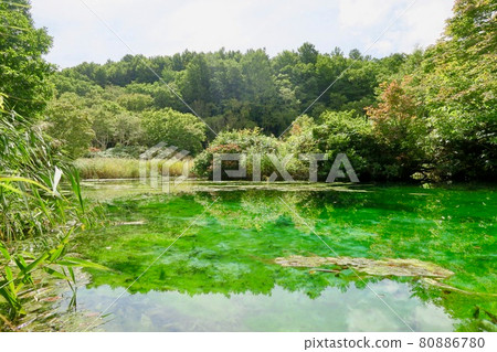 田代平沼澤龍神沼 80886780