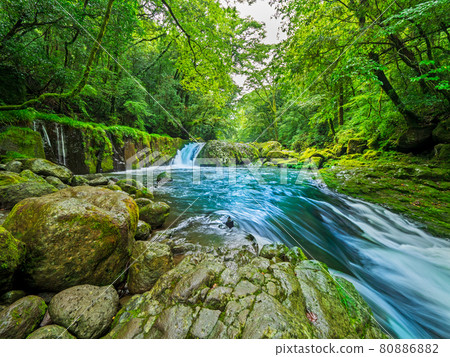 Summer Kikuchi Valley 80886882