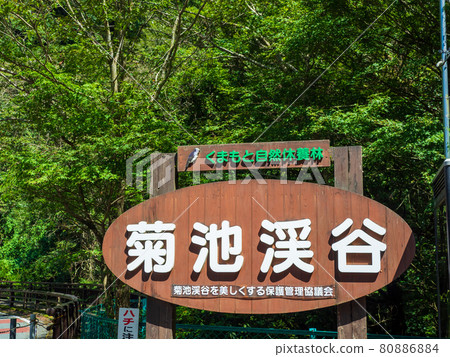 Summer Kikuchi Valley Summer Kikuchi Valley 80886884