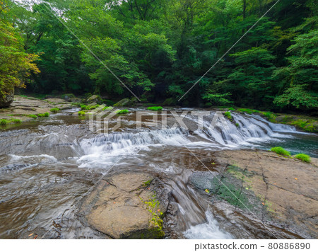 Summer Kikuchi Valley Summer Kikuchi Valley 80886890