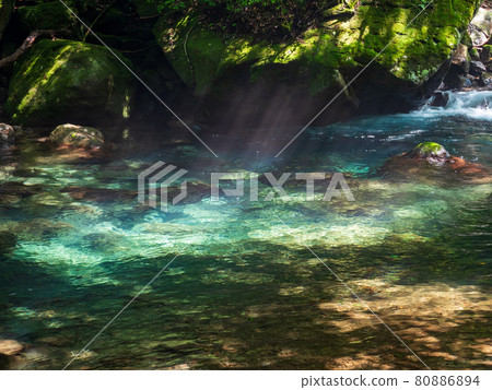 Summer Kikuchi Valley 80886894