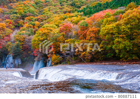 Fukiwaki瀑布（秋天） 80887111