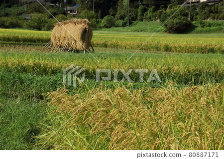 Scenery with rice rack Hatoyama Town 80887171