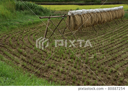 Scenery with rice rack Hatoyama Town 80887254