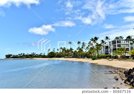 Holidays in Hawaii 80887516