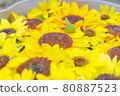 Sunflower floating on the water 80887523
