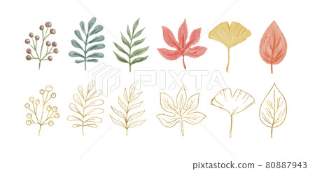 Watercolor style autumn leaves and plants glitter material vector illustration parts set 80887943