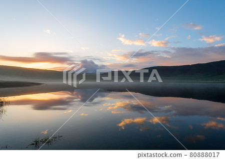 Scenery of dawn with horses and cows grazing in the sea of clouds in Aso in the early summer 80888017