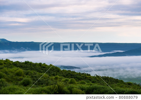 Scenery of dawn with horses and cows grazing in the sea of clouds in Aso in the early summer Scenery of dawn with horses and cows grazing in the sea of clouds in Aso in the early summer 80888079