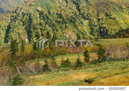 Midagahara in Tateyama in autumn colors Midagahara in Tateyama in autumn colors 80888987