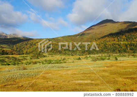 Midagahara in Tateyama in autumn colors 80888992