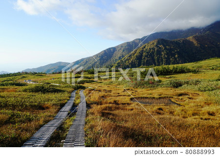 Midagahara in Tateyama in autumn colors Midagahara in Tateyama in autumn colors 80888993